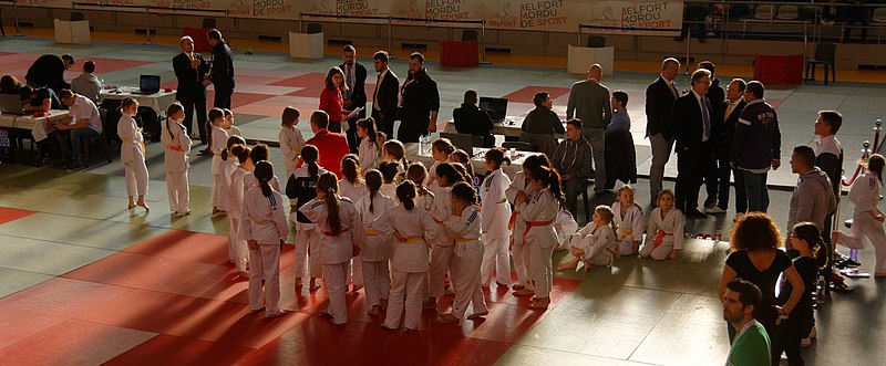 File:2018-01-13 10-49-37 tournoi-judo-belfort.jpg