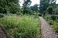 Botanischer Garten, Blick auf den Niederrheinischen Bauerngarten