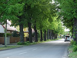 Tronitzer Straße in Dresden