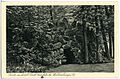 22914-Waldenburg-1924-Park Grünfeld, Grotte-Brück & Sohn Kunstverlag.jpg