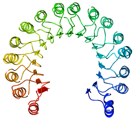 Chất ức chế ribonuclease