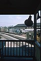 3 B&O Freight Train Photos at Martinsburg, W. VA. (27105195043).jpg