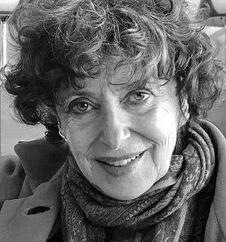 <span class="mw-page-title-main">Annie Cohen-Solal</span> French academic (born 1948)