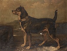 Um cão tipo terrier, 1811