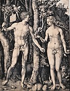 Adán y Eva, Albrecht Dürer.jpg