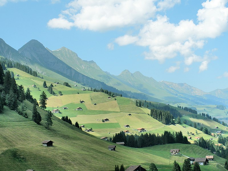 File:Adelboden080628 39 Niesenkette.jpg