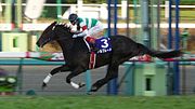 Thumbnail for Asahi Hai Futurity Stakes