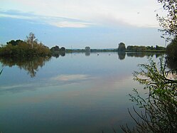 Alte Süderelbe in Neuenfelde