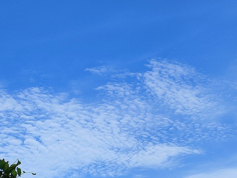 File:Altocumulus stratiformis over Jakarta.jpg