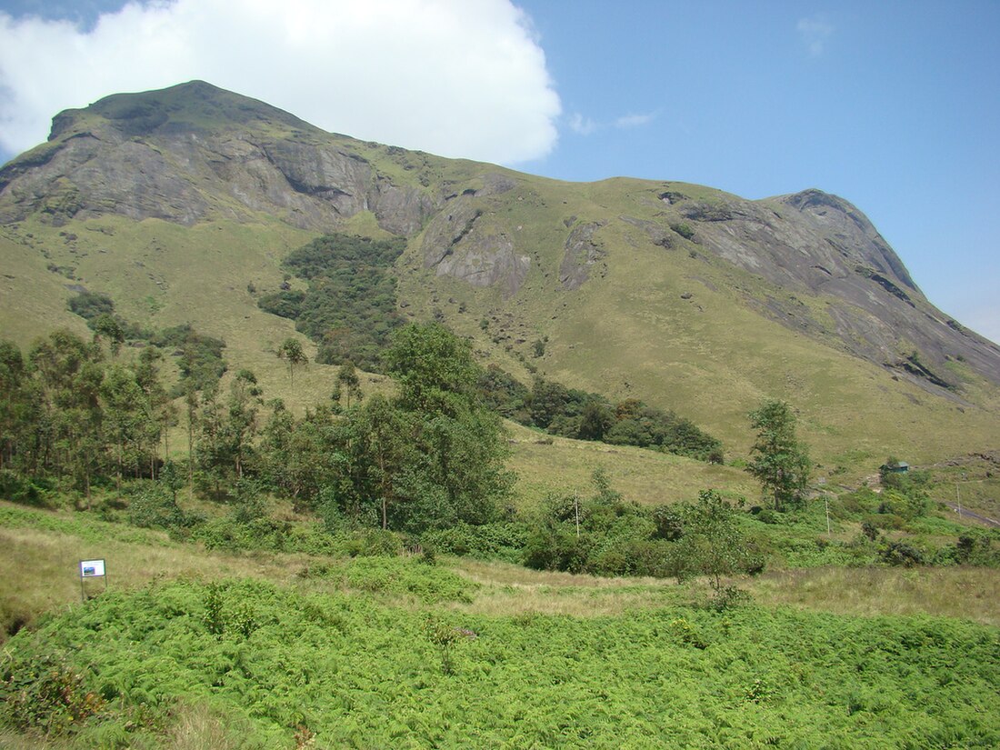 രാജമല