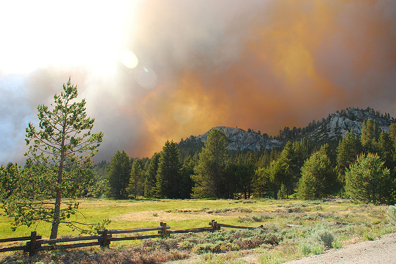 File:Angora Forest Fire, South Lake Tahoe, June 24 2007.jpg