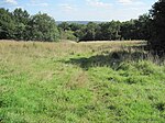 Arrandene Open Space and Featherstone Hill