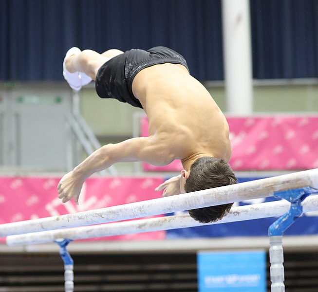 File:Austrian Future Cup 2018-11-23 Training Afternoon Parallel bars (Martin Rulsch) 0620.jpg