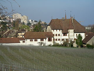 <span class="mw-page-title-main">Auvernier Castle Cellars</span> Swiss winery