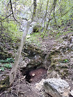 A Bajóti Ördög-lyuk bejárata (alul) és az Öreg-kői 2. sz. zsomboly bejárata (felül)