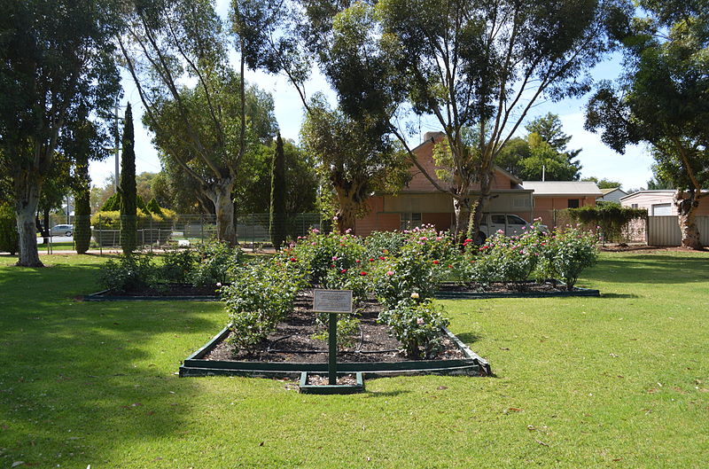 File:Balranald Memorial Rose Garden 001.JPG