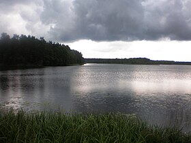 Озеро у села Вайджиньшкес