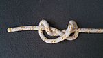 Man zieht leicht an beiden Enden des Seiles oder Fadens, der Knoten dreht sich beim Zuziehen um sich selbst.