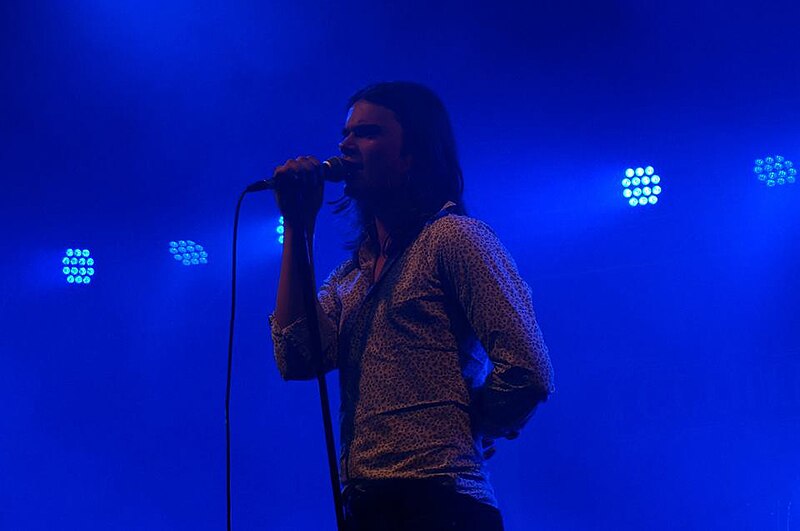 File:Bas Prins at Life I Live festival at The Hague.jpg