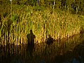 Bass Fishing At Sunset (8456876782).jpg