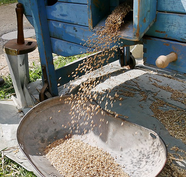 Очистка зерна от мякины и сора