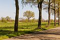 Bekhofweg ter hoogte van natuurterrein Beekdal Linde Bekhofplas.