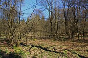 Impressionen aus dem Biospärenreservat Rhön an der hessisch-thüringischen Landesgrenze nahe Frankenheim/Rhön am Parkplatz "Westliches Rhönvorland"