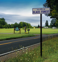 Black Forest Remote.jpg