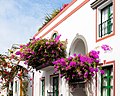 * Nomination Bougainvilleas in Puerto de Mogán, Gran Canaria --Llez 19:02, 24 December 2016 (UTC) * Promotion Good quality. --Poco a poco 19:35, 24 December 2016 (UTC)