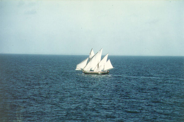 Dhows were used to transport goods and slaves to Oman.