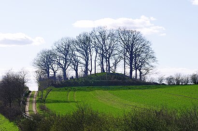 So kommt man zu Brautberg mit den Öffentlichen - Mehr zum Ort Hier