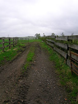 The old lane leading to the castle's site. Broadstone Castle, Old entrance.JPG