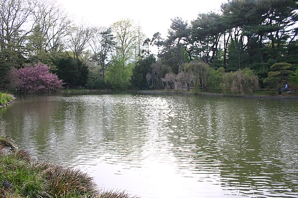 The pond at BBG