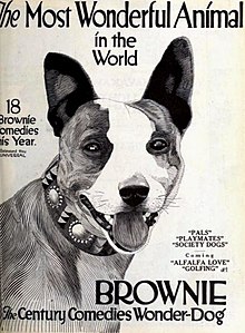 Brownie Century Comedies Wonder Dog - Ağustos 1921 EH.jpg