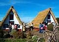 Casas tipicas en o centro de Santana