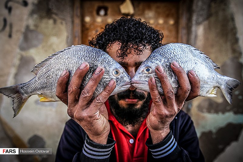 File:Bushehr Fish Market 2018-12-23 07.jpg