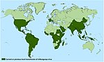 Thumbnail for Epidemiology of chikungunya