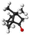 Ball and stick model of camphor ((1R,4R)-1-methyl,heptan)
