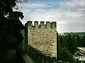 Castelo de Torres Novas (10).JPG