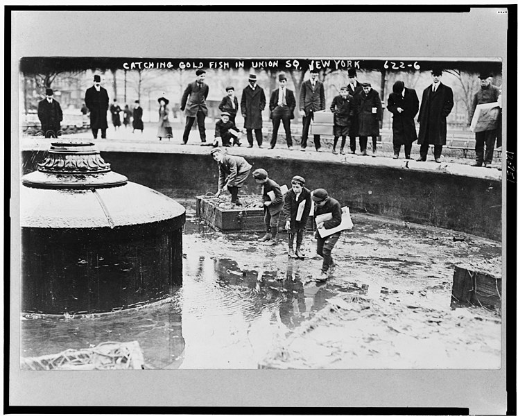 File:Catching goldfish in Union Square, N.Y. Dec. 1908 LCCN98506912.jpg