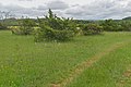 * Nomination Causse du Larzac in Saint-Martin-du-Larzac in commune of Millau, Aveyron, France. --Tournasol7 00:21, 4 July 2020 (UTC) * Promotion Good quality --Llez 04:18, 4 July 2020 (UTC)