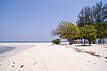 Cemara Kecil Island Karimun Jawa ‎