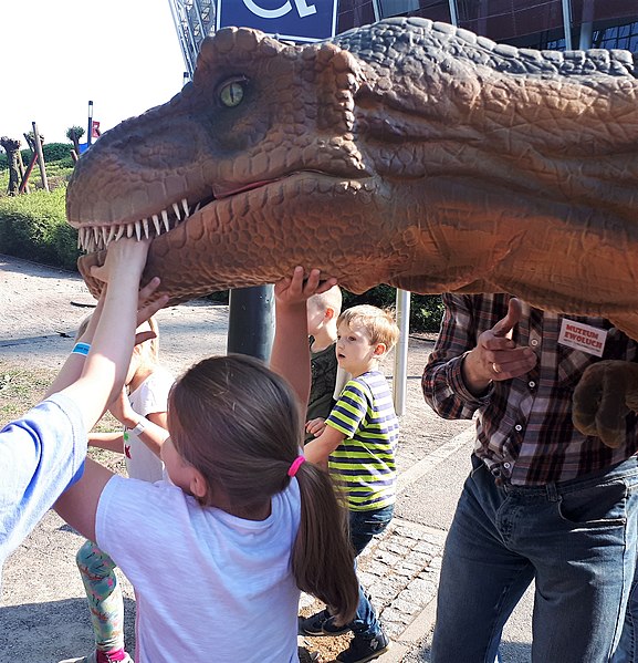 File:Centrum Nauki Kopernik Piknik Naukowy 2019 09.jpg