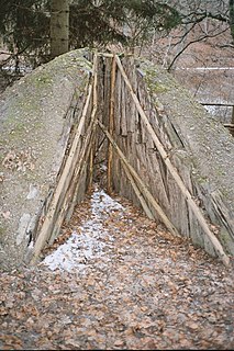 Charcoal pile