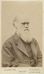 Thumbnail for File:Charles Darwin photograph by Elliott and Fry, late 1870s.jpg