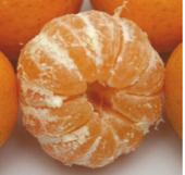 Kishu mikan CherryOrange.pilled.png