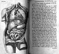 William Cheselden (1688-1752): The Anatomy of the Human Body. London: W. Bowyer, 1741.