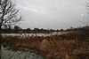 Cholsey Marsh - geograph.org.uk - 670925.jpg