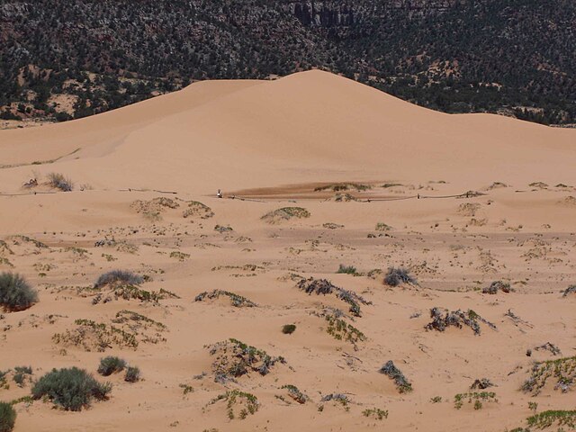 File:Coral_pink_sand_dunes_02.jpg