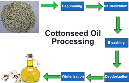 ไฟล์:Cottonseed_Oil_Processing_Graphic.png
